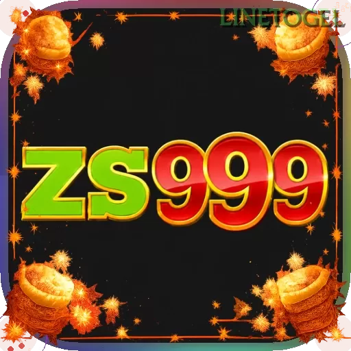zs999